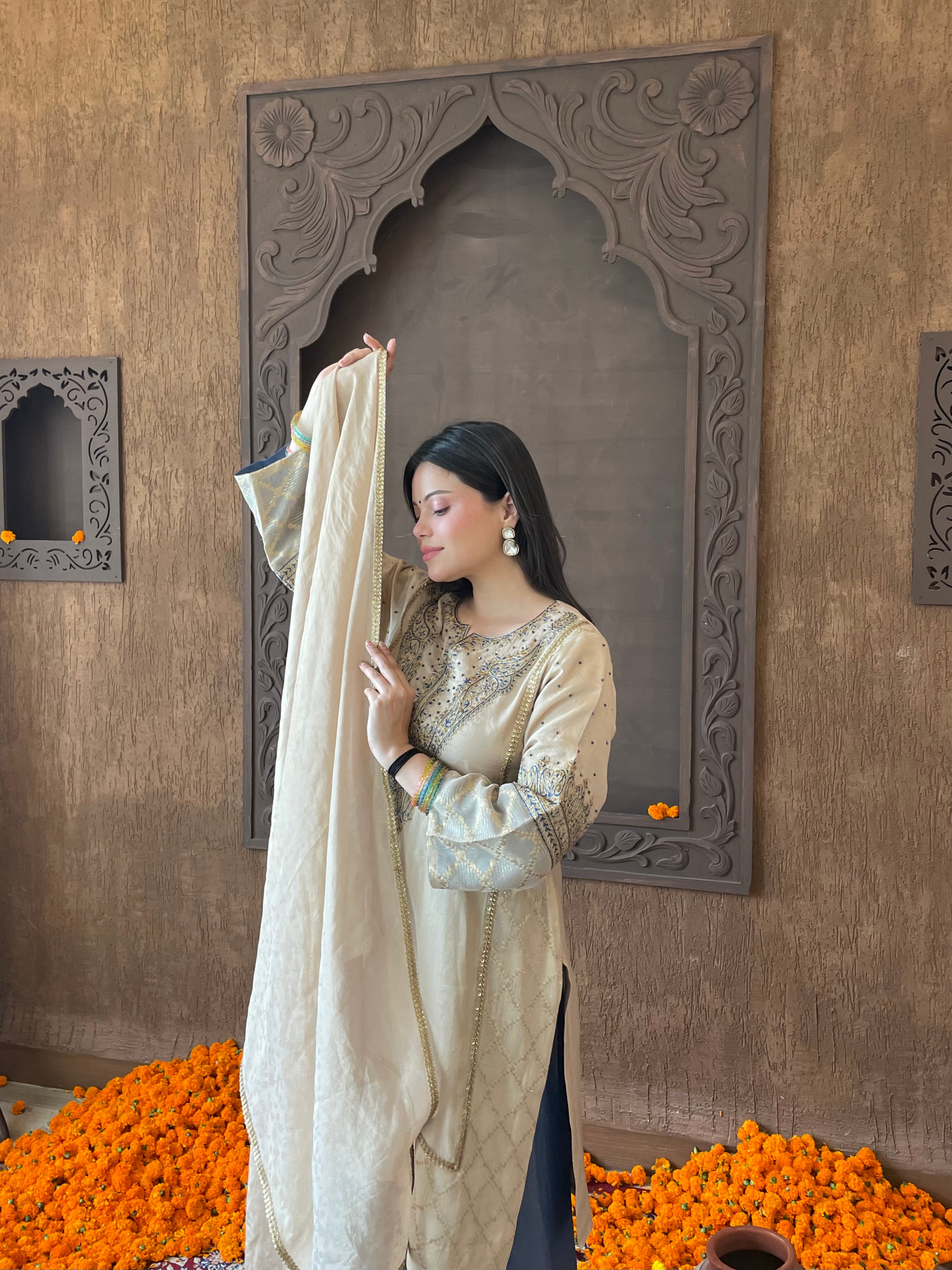 Beige Tissue Georgette Suit Set