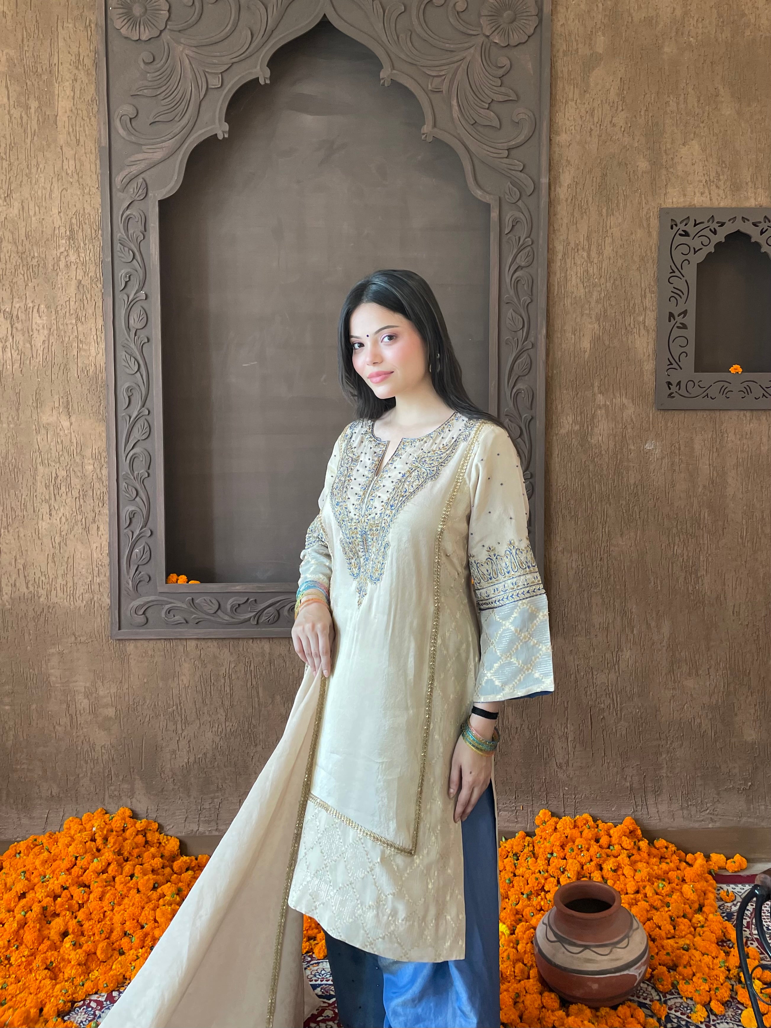 Beige Tissue Georgette Suit Set