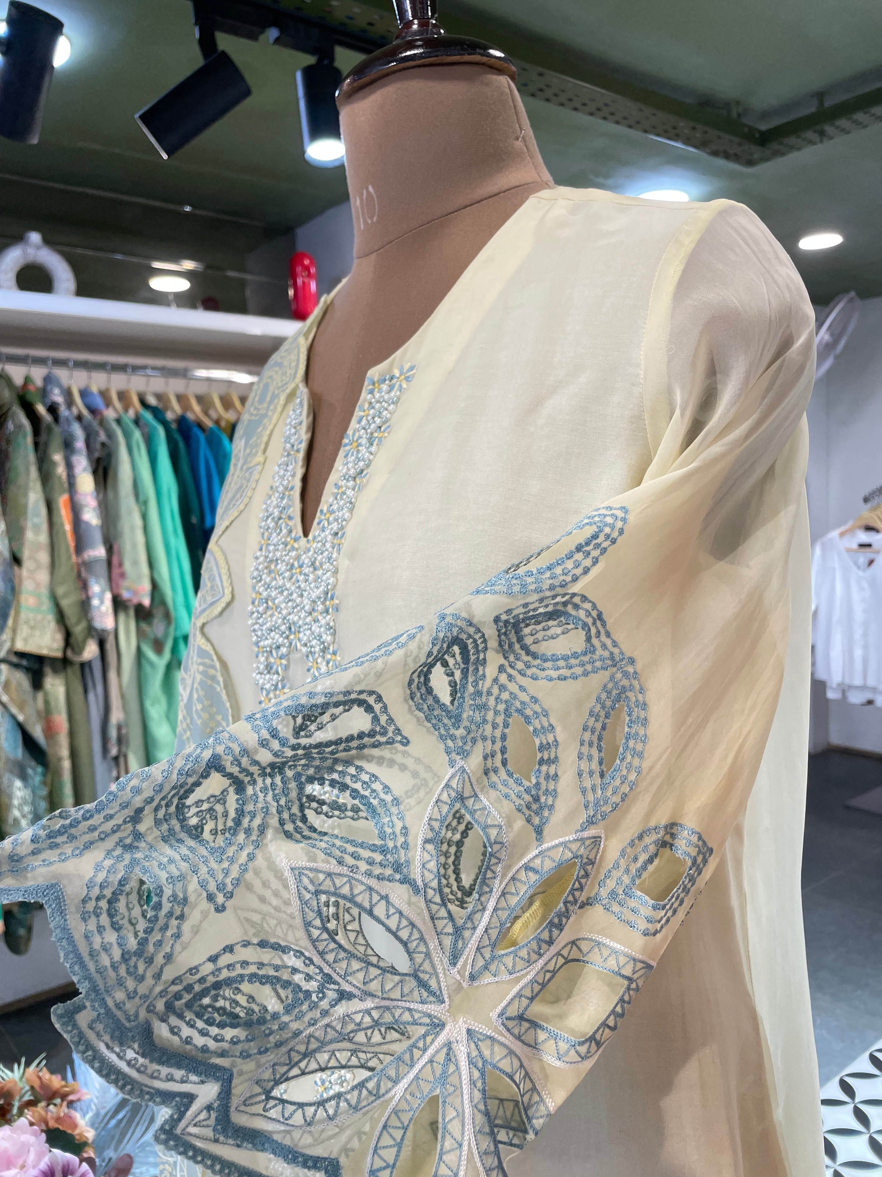 Ira Organza Kurta Set