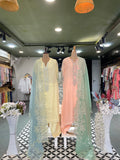Ira Organza Kurta Set